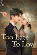Too Late to Love (2025) Too Late to Love (2025)