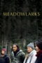 Meadowlarks (2025)